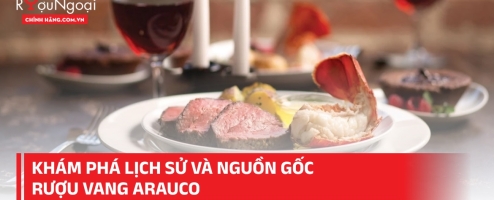 Khám phá lịch sử và nguồn gốc rượu vang Arauco