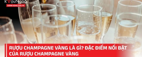 Rượu Champagne vàng là gì? Đặc điểm nổi bật của rượu Champagne vàng